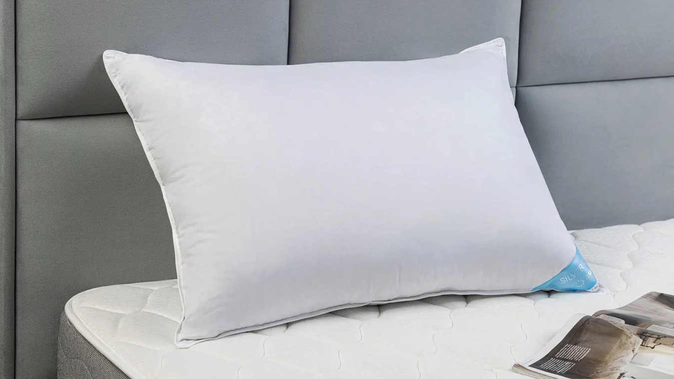 Pillow Silver Goose Askona pictures - 5 - большое изображение