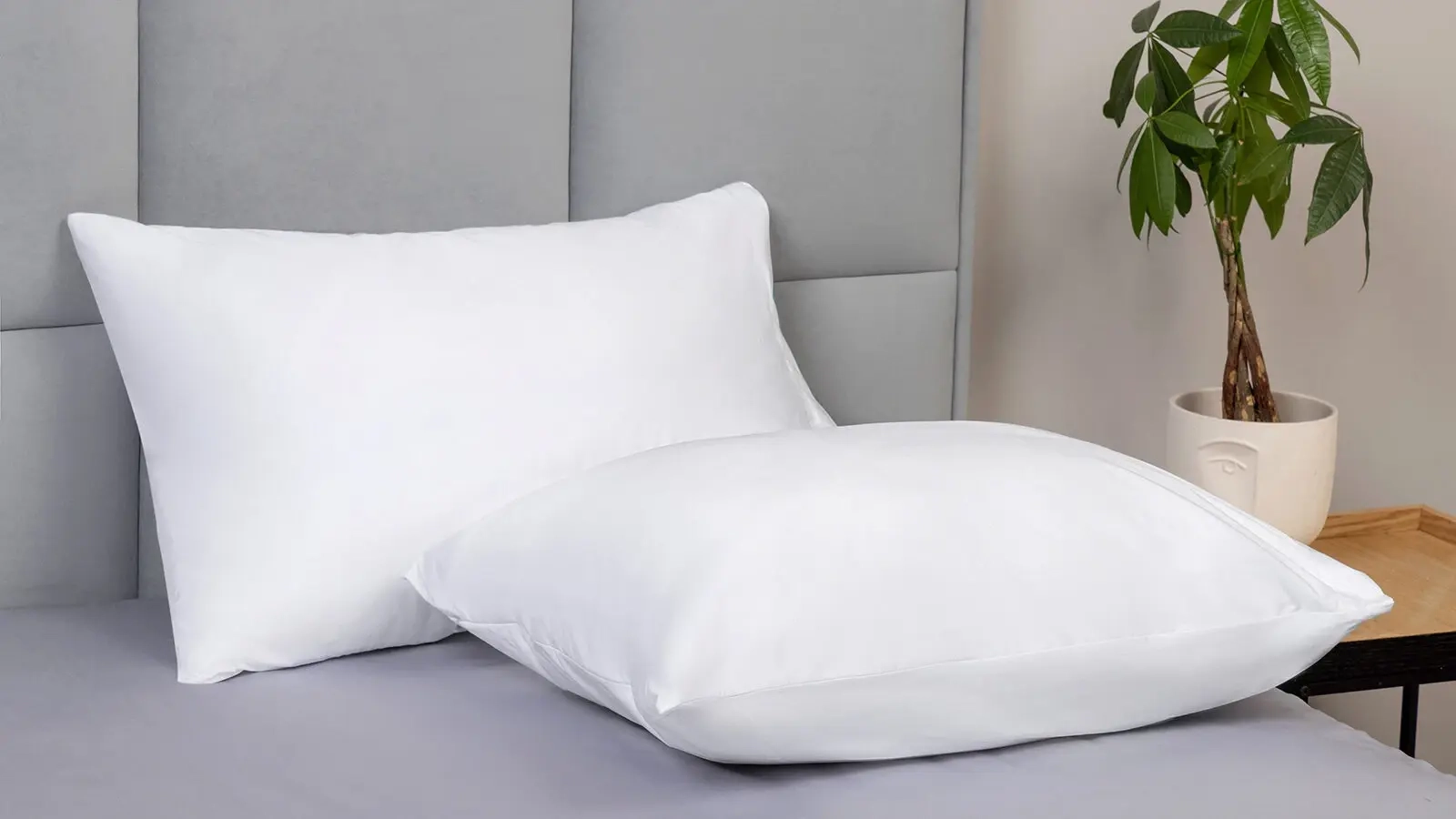 Pillow Protect-a-Bed Basic  Askona  - 4 - большое изображение