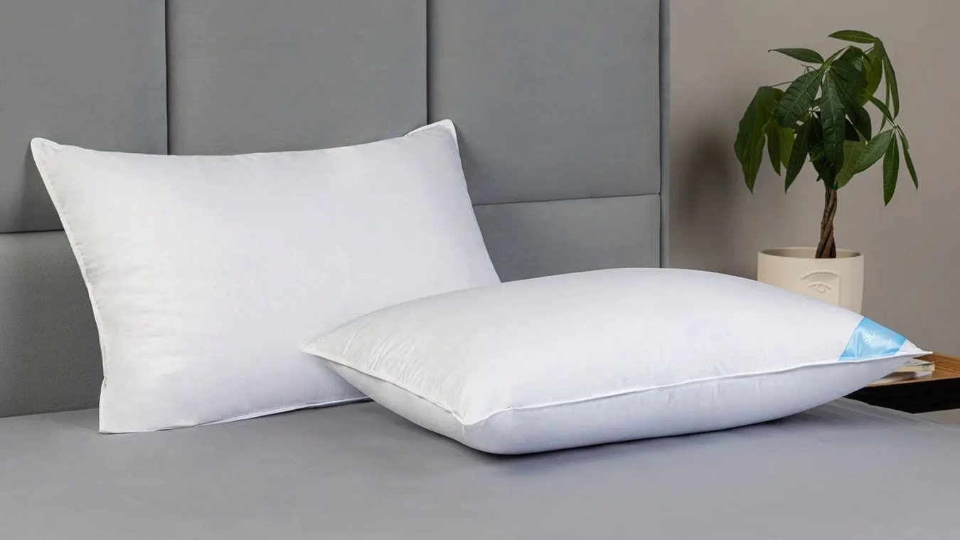 Pillow Silver Goose Askona pictures - 6 - большое изображение