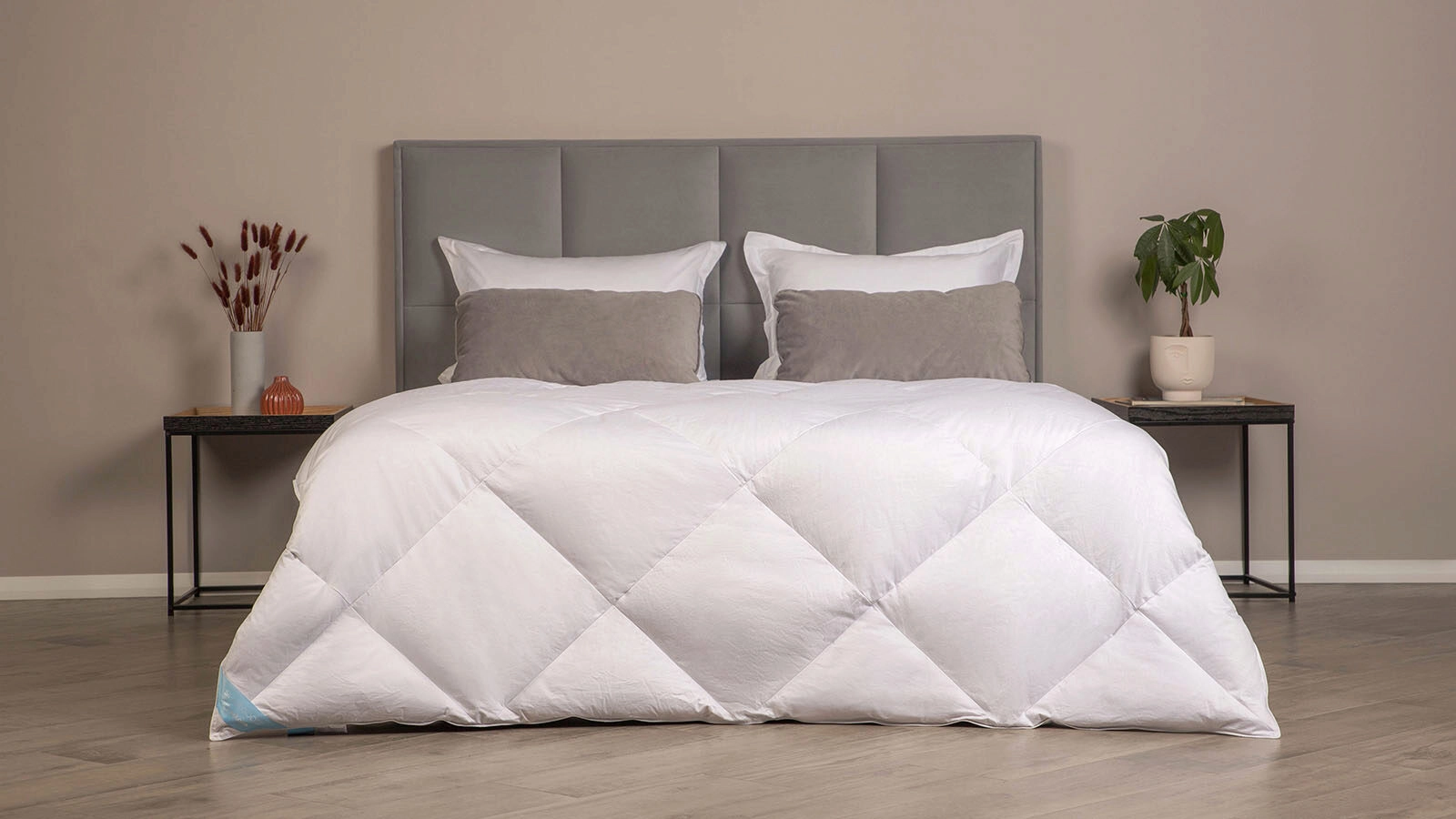 Duvet Silver Goose Askona pictures - 1 - большое изображение